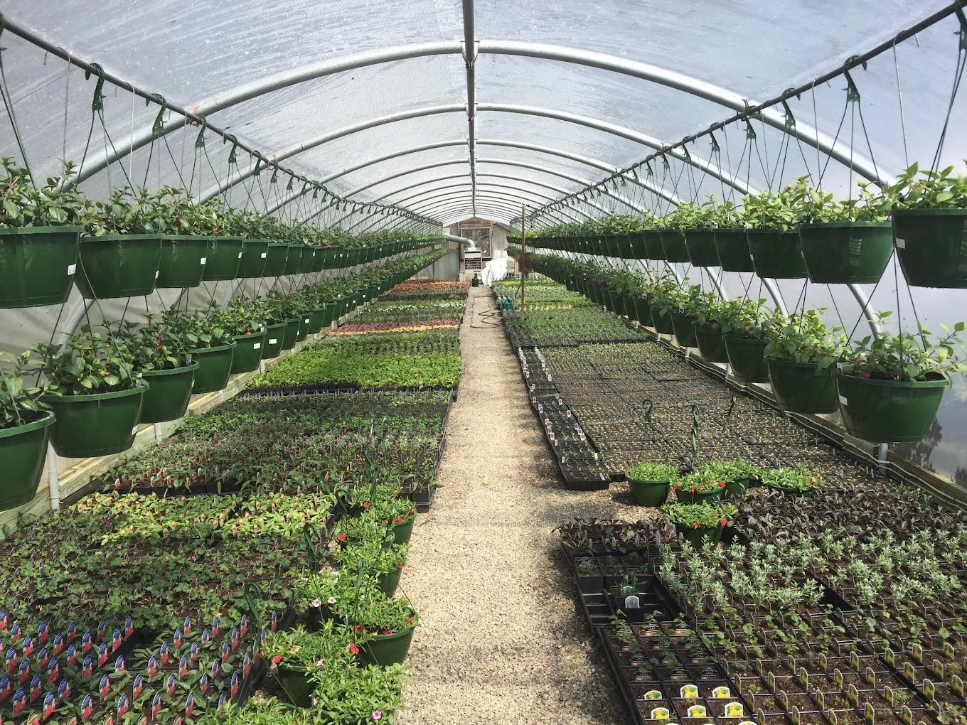 Gallery — Grass Root Garden Company